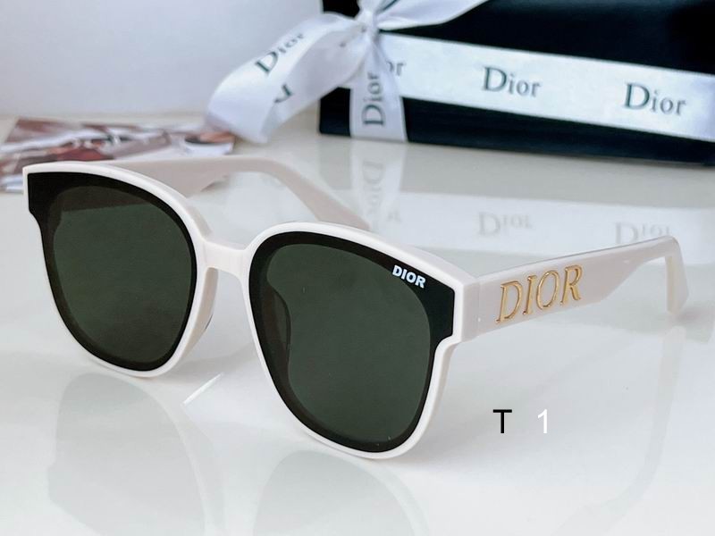 DIOR Sunglasses 691